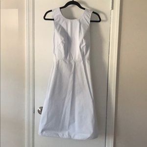 Everlane Sleeveless A-Line Dress
